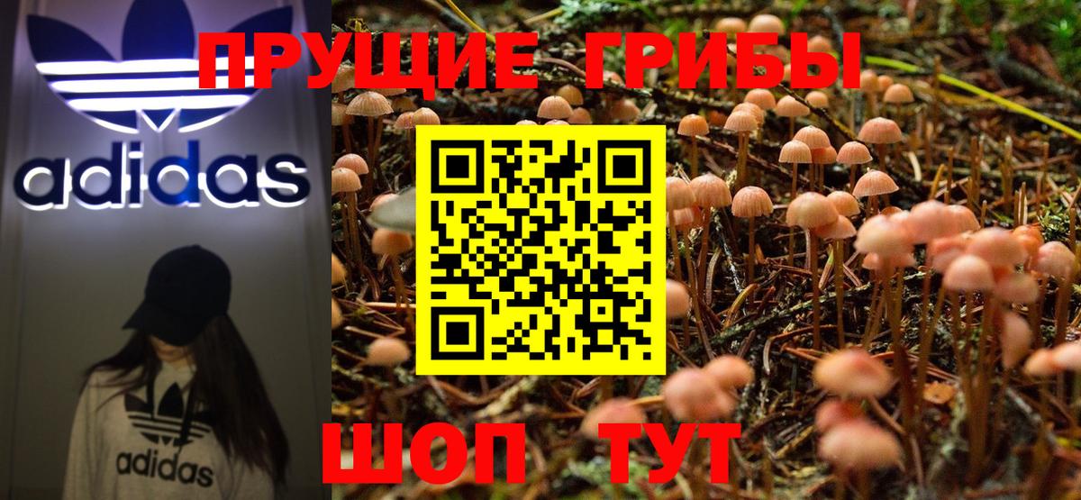 Псилоцибиновые грибы GOLDEN TEACHER  Вход с VPN  где продают   Мурино 