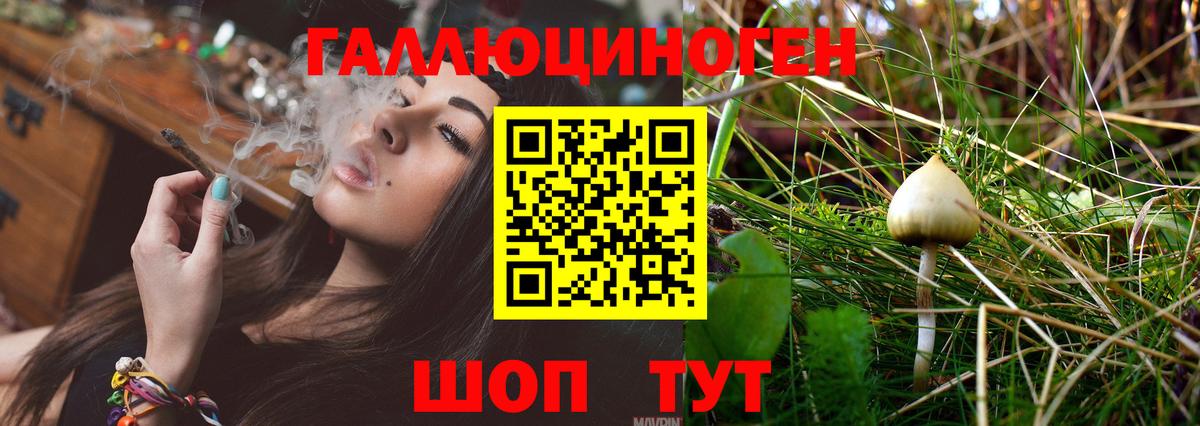 Галлюциногенные грибы MAGIC MUSHROOMS Мурино